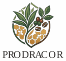 Prodracor